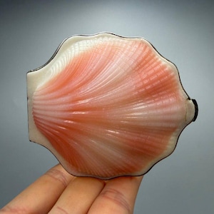 Può includere: Un compatto a forma di conchiglia con finiture argentate. Il compatto presenta un design dettagliato a forma di ventaglio nei toni del rosa e del bianco, che ricorda una conchiglia. Ha una chiusura nera.