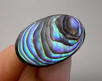 Broche Ancienne En Argent - Forme Coquillage - Bijou Vintage - Occasion