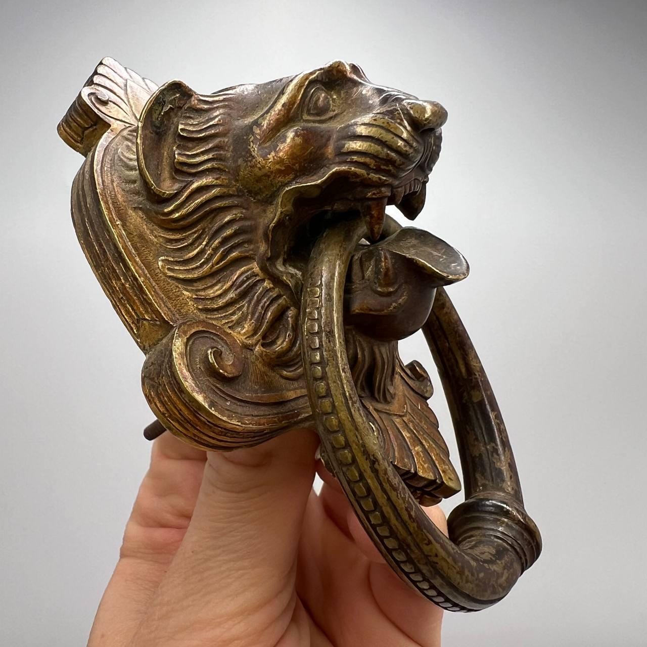 4 PCS 6.3 Inch Classical Lion Door Knocker, Antique Seychelles