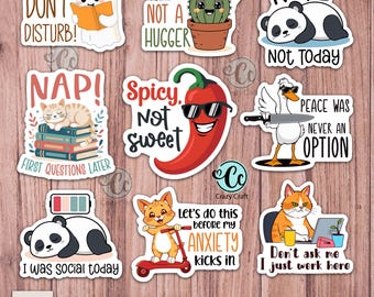 Grappige afdrukbare sticker png bundel, Sarcastic Quotes Svg Png, Prank Meme, hilarisch stickerpakket voor laptop, grappige grappen, Cricut, vinyl