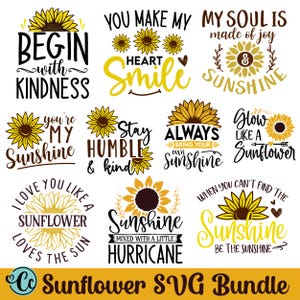 Pacote de SVG de girassol, Citações de girassol SVG, Girassol SVG, Bondade SVG, Abelha SVG, Arquivos SVG para Cricut, arquivo de corte, Você é meu raio de sol