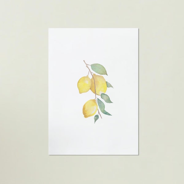 Botanical Art print - Affiche A3 - Citron - Lemon - Aquarelle - Watercolor - Vitamine (handmade)