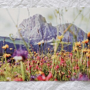 Impresión Montañas Flores 13 x 18 cm / Cartón Reciclado / Cuadro Paisaje Analógico / Flores