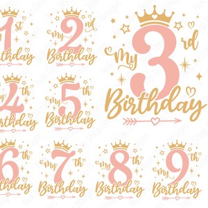 Birthday Girl SVG Bundle: Princess Iron On Designs (Digital Download)