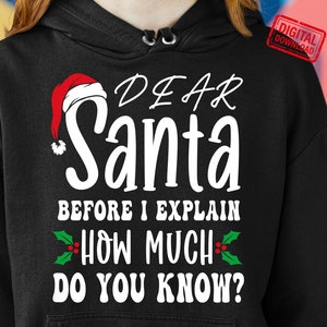Svg di Natale, Caro Babbo Natale, prima che ti spieghi quanto ne sai, Svg di maglietta natalizia divertente, png, DXF, file Svg per Cricut Silhouette
