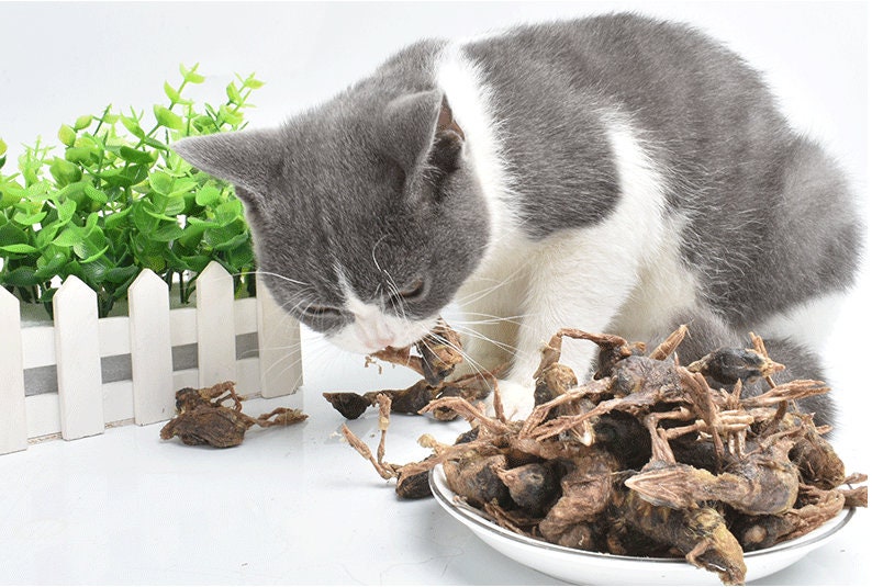 Dried Quail Natural Additivefree Cat Snacks Cat Food Freezedried