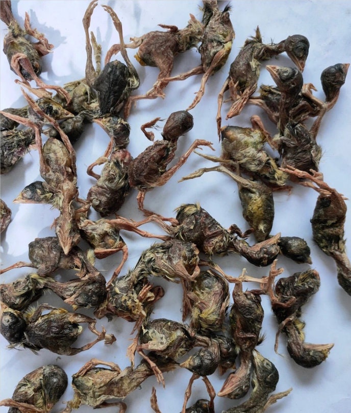 Dried Quail Natural Additivefree Cat Snacks Cat Food Freezedried