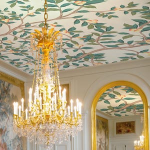 Ceiling Wallpaper - Wallpaper on Ceiling - Ceiling Mural art- Peel and Stick Big Print - WIV 999