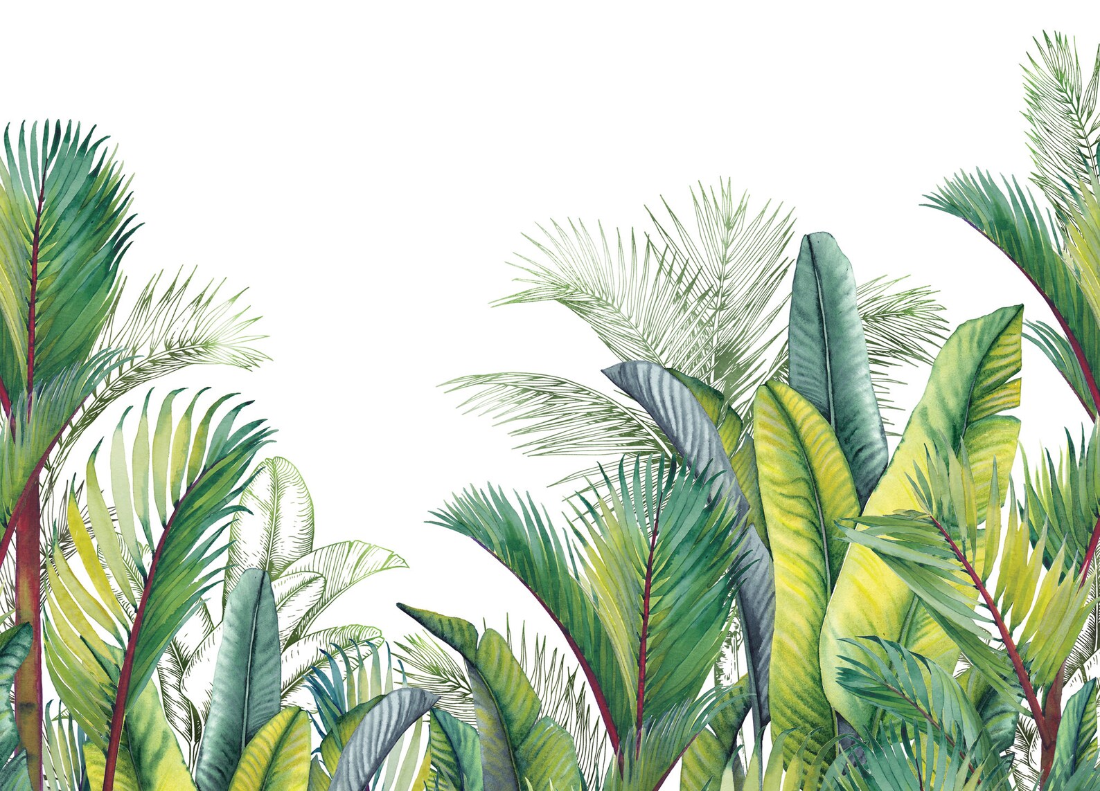 Tropical Decor Tropical Leaves Garden Party WIV698 Etsy
