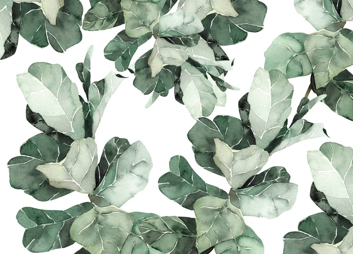 Fig leaf wallpaper green watercolor fig leaves WIV552 Etsy