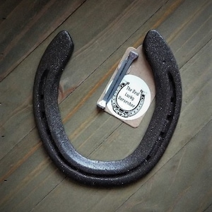 Real Lucky Horseshoe, Ready to Hang, Unique Housewarming Gift, Graduation Gift, Wall Décor, Good Luck Charm, Upcycled Horseshoe, Bronze