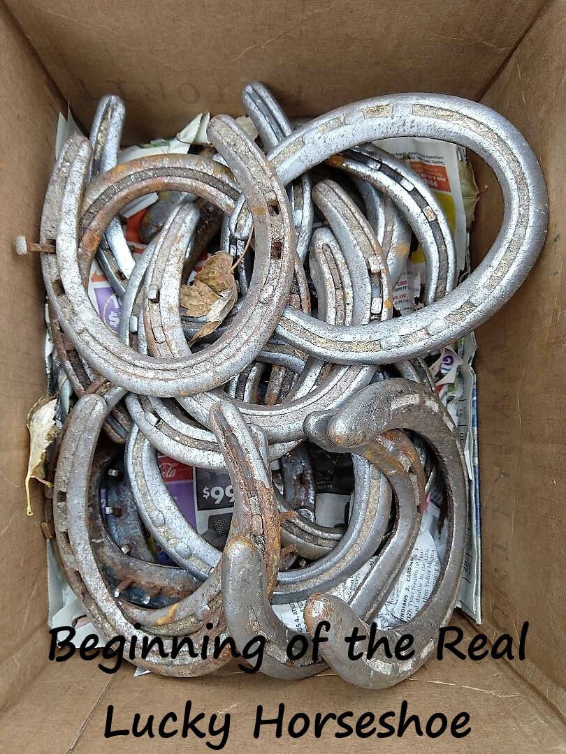 Handcrafted Real Lucky Horseshoe Ready to Hang Baby Shower Etsy