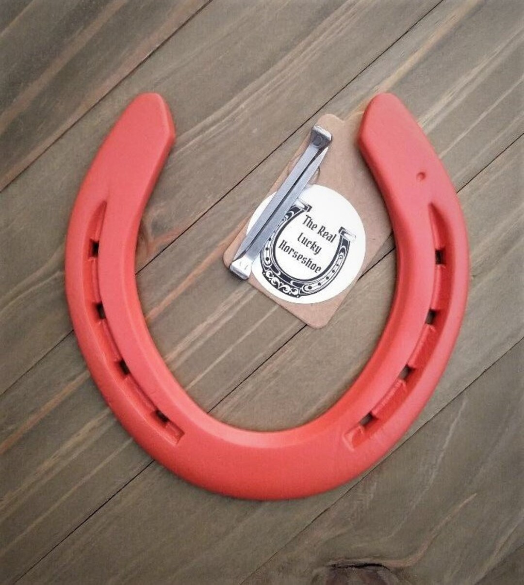 Real Lucky Horseshoe Ready to Hang Unique Housewarming Gift Etsy