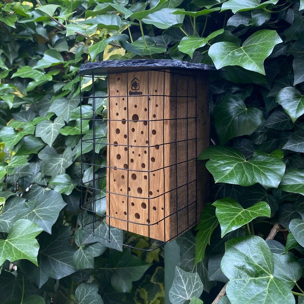 Vogelschutz-Gitter aus rostfreiem Edelstahl / handgebogen