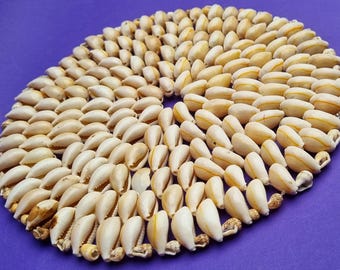 Decorative Vintage 1970s Woven Polished Cowrie Sea Shell Trivet. ***Dish not Included***