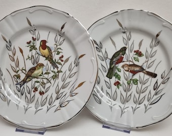 Vintage Porzellan Dekor Fine Germany, Hand Painted Bird Motifs 25cm Plates - 2 Are Available.
