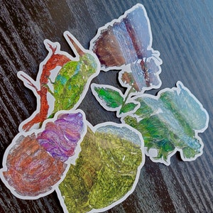 Conjunto de adesivos, adesivo de vinil à prova d'água, acabamento brilhante, borboleta, caracol, peixe betta, martim-pescador e copo de sorvete
