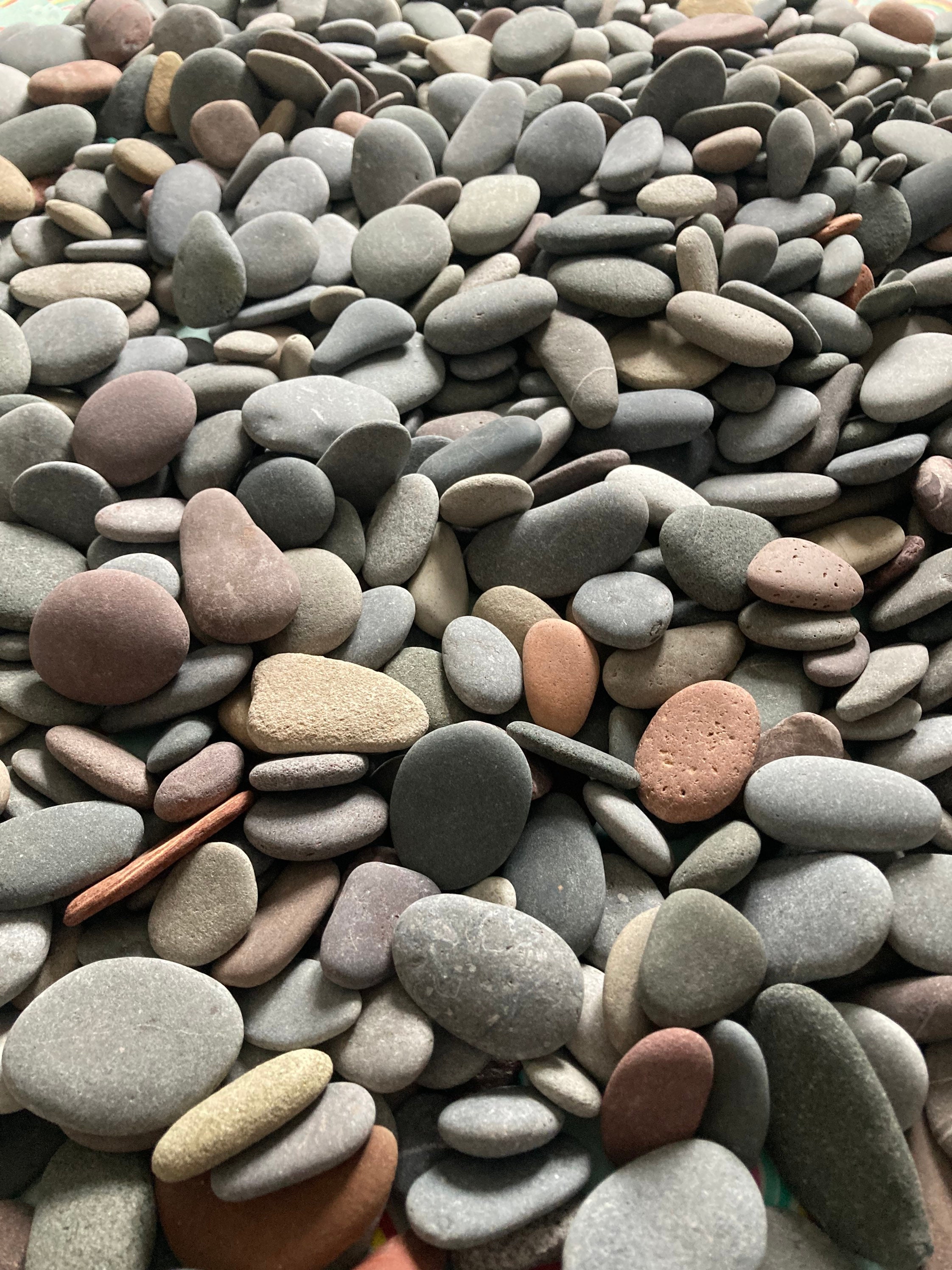 1kg of Assorted Flat Pebbles Stones for Pebble Art / Picture Etsy