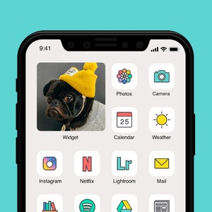 May include: A smartphone screen displaying a variety of app icons, including Photos, Camera, Calendar, Weather, Instagram, Netflix, Lightroom, and Mail. The top of the screen shows the time 9:41 and a battery icon.