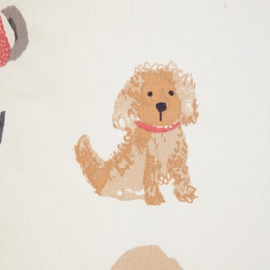 K&ouml;nnte beinhalten: Ein brauner und wei&szlig;er Hund mit einem roten Halsband sitzt auf wei&szlig;em Hintergrund. Der Hund hat ein flauschiges Fell und einen s&uuml;&szlig;en Ausdruck.