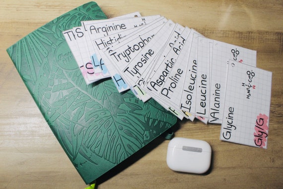 20 Common Amino Acid Biochemistry MCAT Aesthetic Flashcards