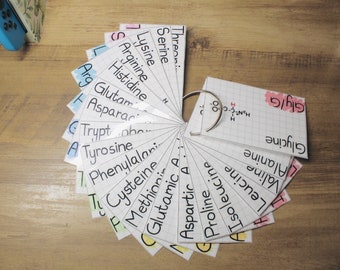 20 Common Amino Acid Biochemistry MCAT Aesthetic Flashcards