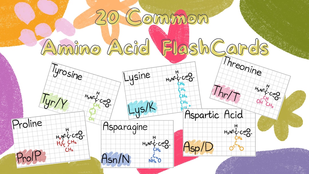 洋書 Biochemistry Flash Cards 洋書 Biochemistry Flash Cards Biochemistry Flashcard