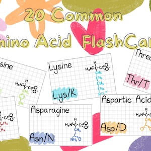 20 popularnych kart pamięci z biochemii aminokwasów MCAT Aesthetic [Indeks / Flash / Karty referencyjne]