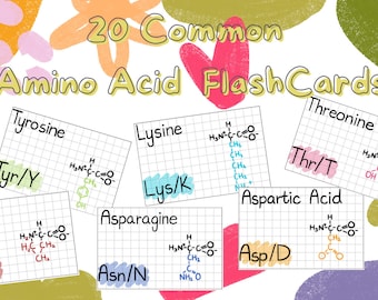 20 Common Amino Acid Biochemistry MCAT Aesthetic Flashcards