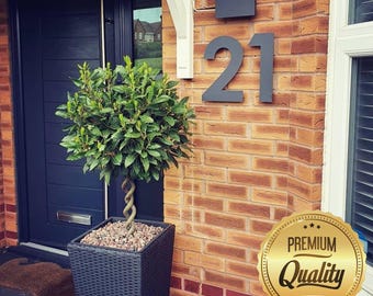 Floating House Number (one digit) - Many Fonts, Colours and Sizes. Bespoke Made