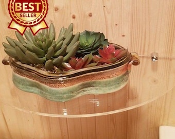 Semi Circular Acrylic Shelf: Laser Cut, Child Safe (42 x 21 cm)