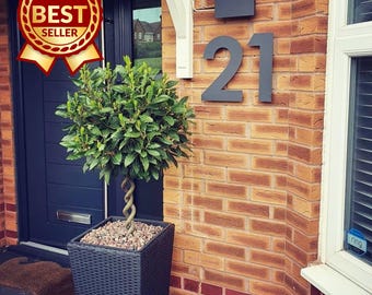 Floating House Number (one digit) - Many Fonts, Colours and Sizes. Bespoke Made