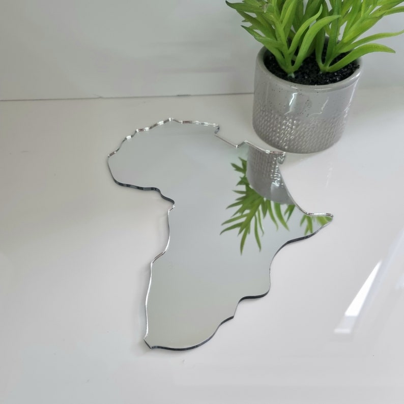 May include: A silver mirror shaped like the continent of Africa. The mirror is reflecting a potted plant with green leaves.