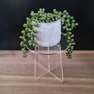 Plant Display Stand - Bespoke stands made