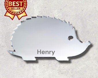 Hedgehog Acrylic Mirror Wall Art: Personalized Engraved Decor