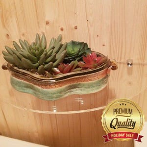 Semi Circular Acrylic Shelf: Laser Cut, Child Safe (42 x 21 cm)