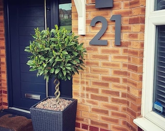 Floating House Number (one digit) - Many Fonts, Colours and Sizes. Bespoke Made