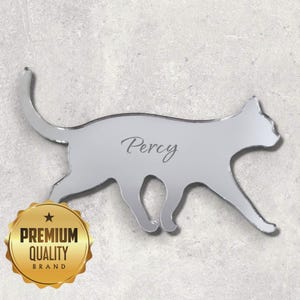 Cat Large Acrylic Mirror Wall Art - Many Size Options, Plain or Personalised Engraving (Bespoke Items Made)