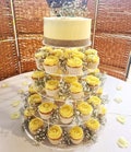 Multi Tier Acrylic Cake Stand: Wedding & Celebration Display