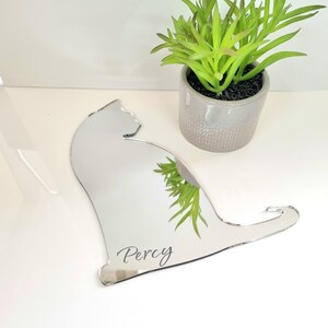 Sitting Cat Acrylic Mirror Wall Art - Many Size/Colour Options, Plain or Personalised Engraving (Bespoke Items Made)