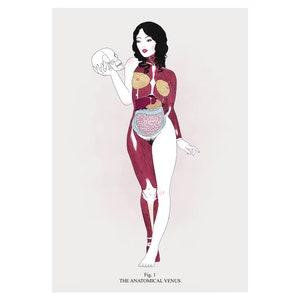 Art Print - &quot;The Anatomical Venus&quot;