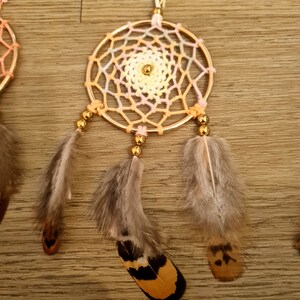 May include: A dream catcher with a gold hoop and a multi-colored crocheted web. The dream catcher has three feathers, two brown and one with black and brown stripes.