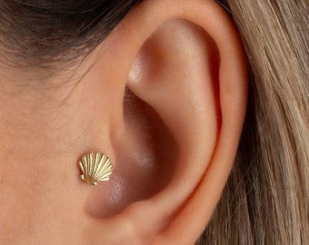 Shell Piercing, Sea Shell Earring, Beach Jewelry, 14k Solid Gold Shell Screw Back Piercing, Seashell Tragus Piercing