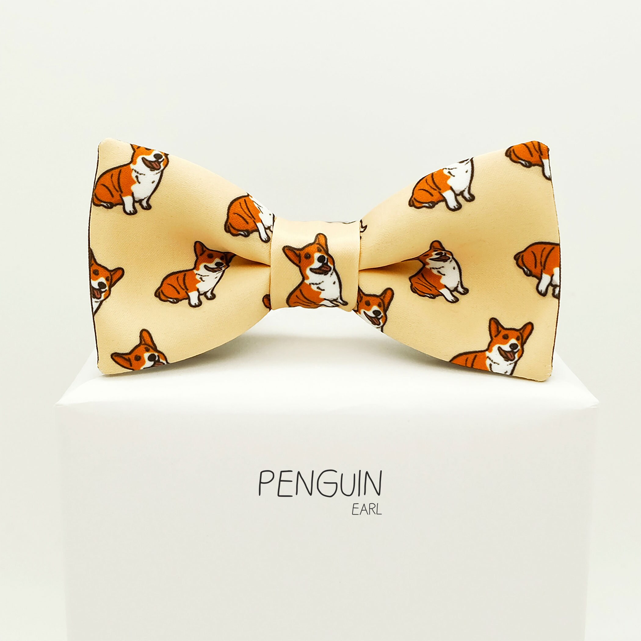 corgi with a bow tie