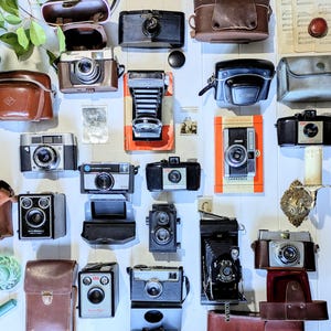 Retro Camera Collection: 1920s-70s Vintage Decor - Agfa, Kodak, Ilford, Purma, Dacora