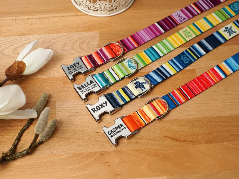 Personalized Dog Collar Custom Dog Collars with 4 Bright Etsy