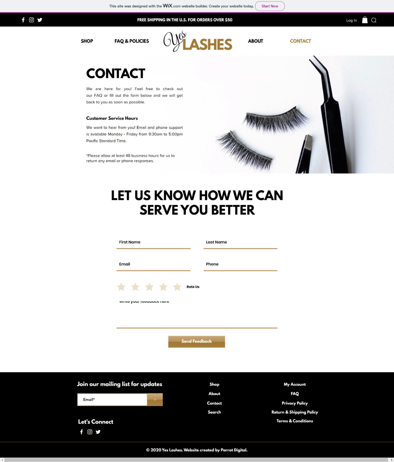 Elegant Lashes Website Template for Wix / Eyelash E-commerce Store ...
