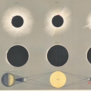 Op de afbeelding: Antieke astronomische prent die zonsverduisteringen afbeeldt. De prent toont verschillende fasen van een zonsverduistering, met de zon, maan en aarde afgebeeld. De prent bevat diagrammen en labels, met een vintage esthetiek. Het kleurenpalet omvat grijstinten, zwart, geel en blauw.