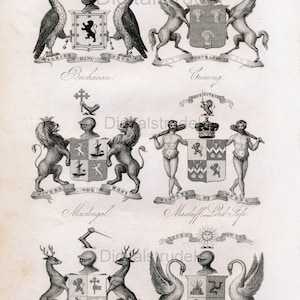 Könnte beinhalten: Eine Schwarzweißillustration von vier heraldischen Wappen. Jedes Wappen zeigt einen Schild mit verschiedenen Symbolen und wird von zwei Tieren flankiert. Die Wappen sind mit den Namen Buchanan, Cuming, Macdougal und Macduff, Lord Fife, beschriftet.