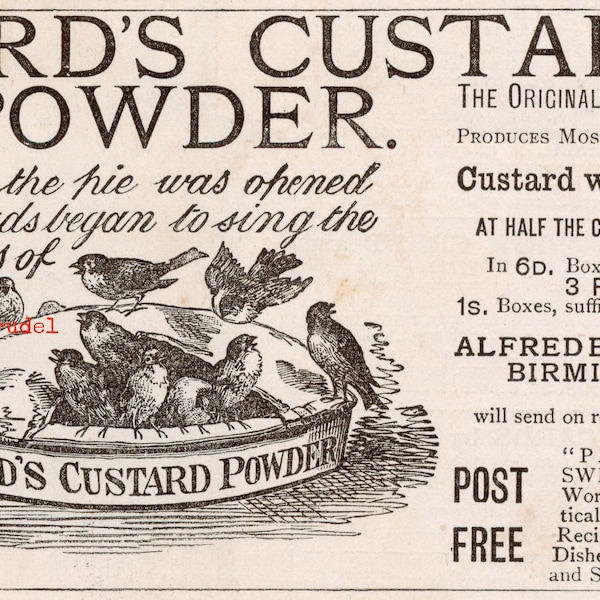 Antique Advertisement for Bird's Custard - 1885 Ad - DIGITAL DOWNLOAD